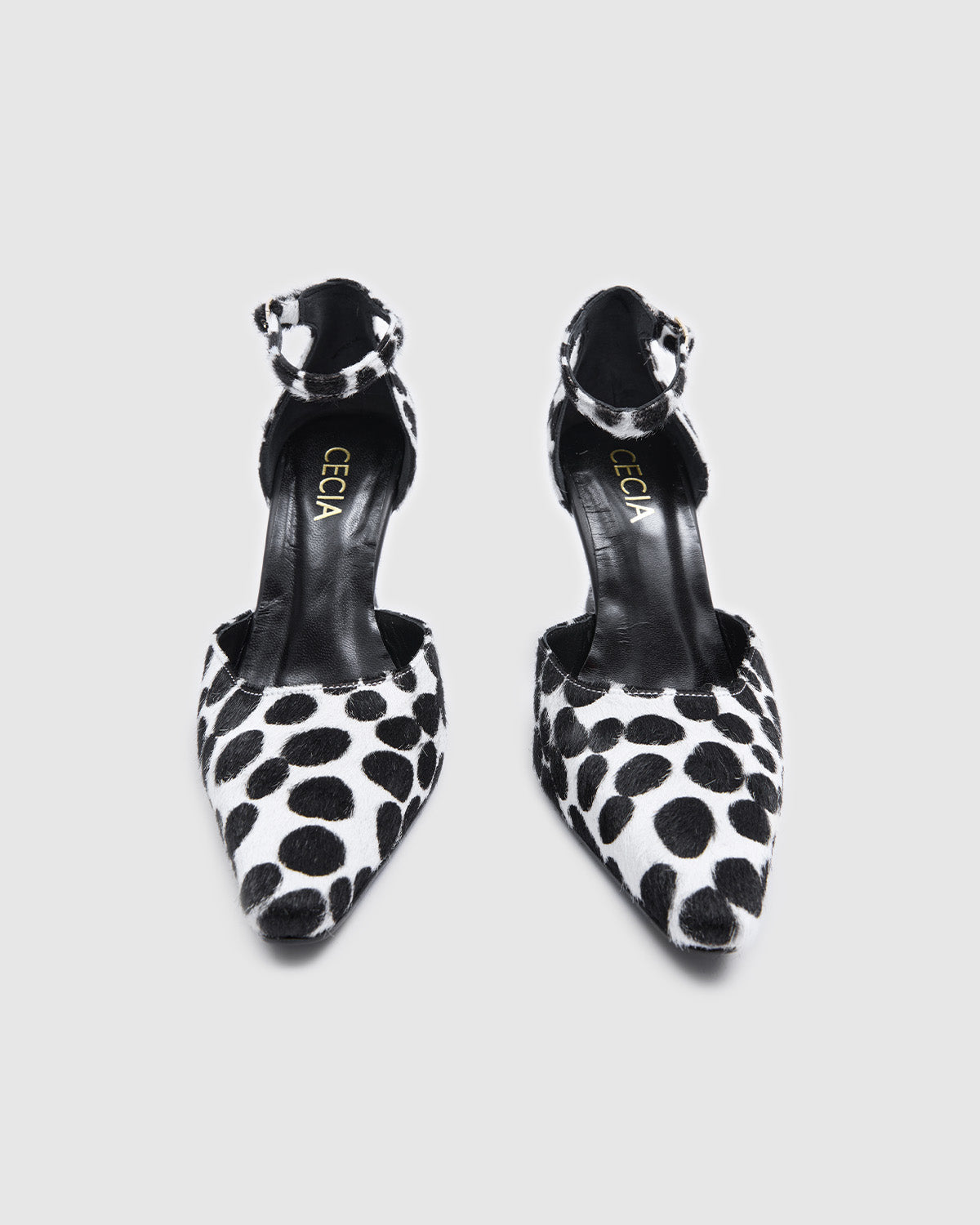 Rhea Dalmatian