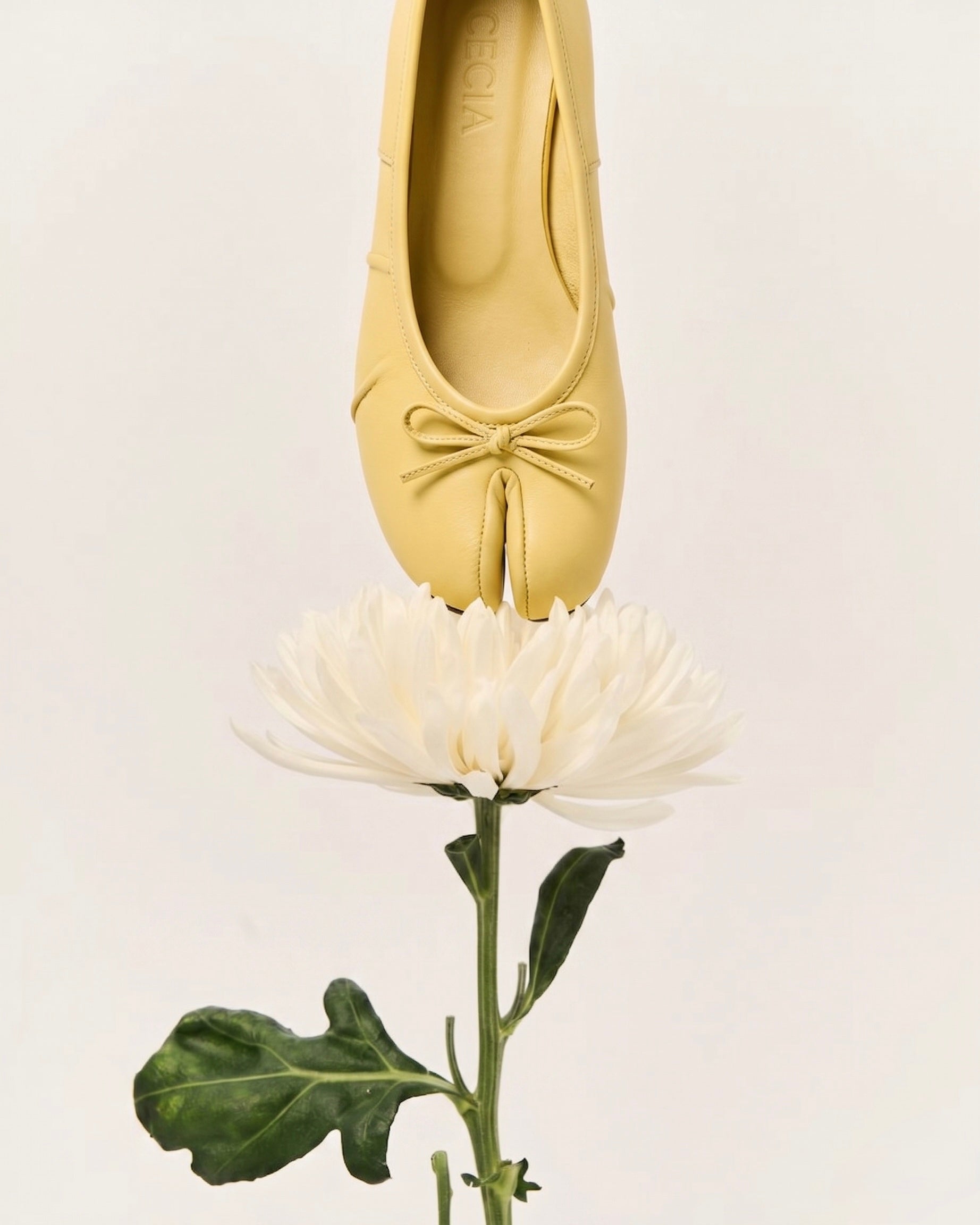 Tabi Ballet Flats Butter Yellow